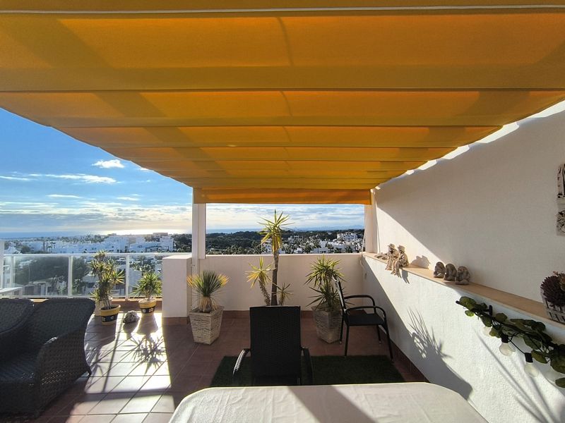 Soltak Calle pintorbotti